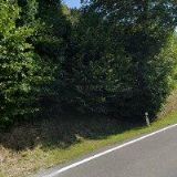 JELÍNEK LUBOMÍR-SEDLÁŘSTVÍ