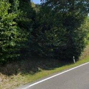 obrazek: avatar JELÍNEK LUBOMÍR-SEDLÁŘSTVÍ