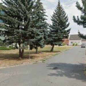 obrazek: avatar 100WOOD.CZ