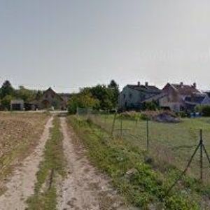 obrazek: avatar STYLE DOG