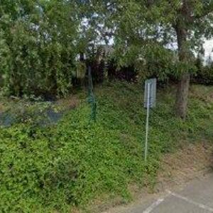 obrazek: avatar BONSAI MORAVIA s.r.o.