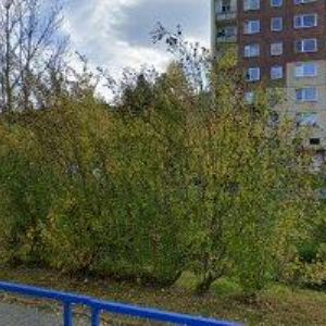 obrazek: avatar ZAHRADNÍ ARCHITEKTURA NK s.r.o.