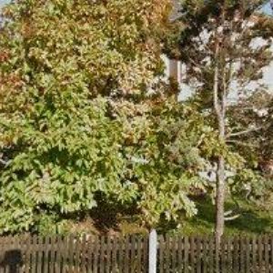 obrazek: avatar FARMA ČECHOVI