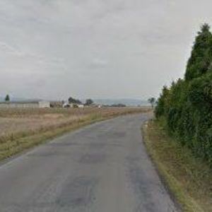 obrazek: avatar LICHTENSTEIN JOSEF