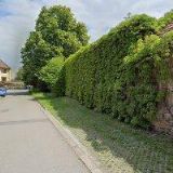 MRÁČEK RADOMÍR MVDr.