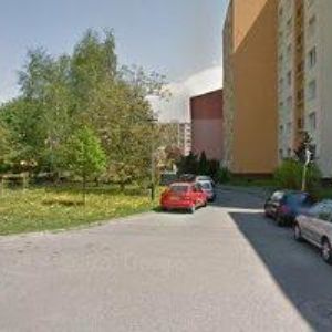 obrazek: avatar ČESKÝ KYNOLOGICKÝ SVAZ Jasenná