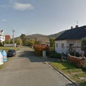 obrazek: avatar ŠTELCL JAN MVDr.