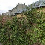 ELIÁŠ JAROSLAV MVDr.