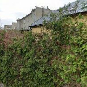 obrazek: avatar ELIÁŠ JAROSLAV MVDr.