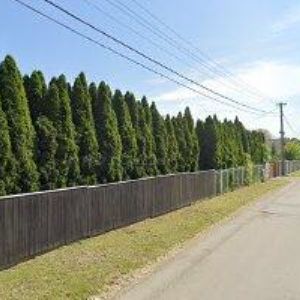 obrazek: avatar RENOFARMA SLEZAN a.s.