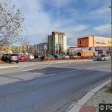 BOŘECKÁ LENKA MVDr.-VETERINÁRNÍ CENTRUM