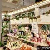 KVĚTINÁŘSTVÍ SLUNEČNICE s.r.o.