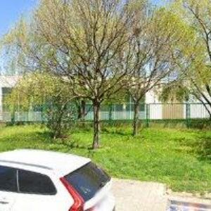 obrazek: avatar VETERINA FIFEJDY