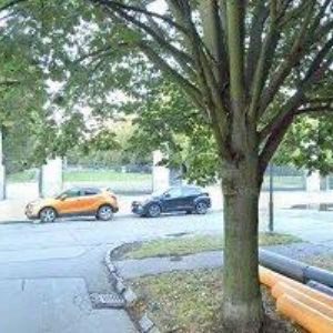 obrazek: avatar VETPARK