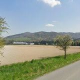 MATULA MIROSLAV-ROSTEKVETE