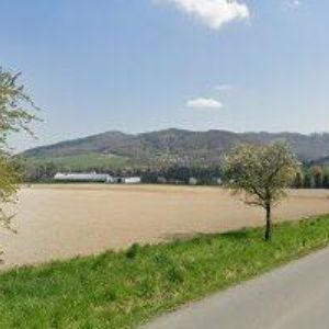 obrazek: avatar MATULA MIROSLAV-ROSTEKVETE