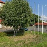 PRADĚDSKÝ LESNÍ ZÁVOD, a.s.