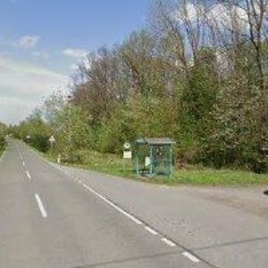 obrazek: avatar KOBĚLUŠ-OVOCNÉ ŠKOLKY