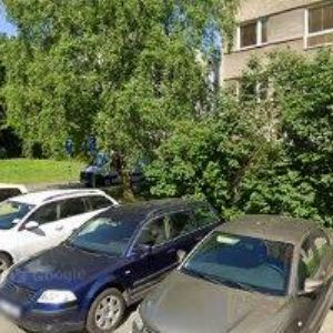 obrazek: avatar SALON PSÍ SEN