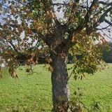 MIKOLÁŠ PŘEMYSL Mgr.