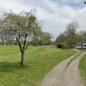 obrazek: avatar BADAVA s.r.o.