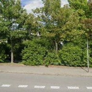 obrazek: avatar VACULA RICHARD