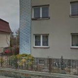 GORČICOVÁ LUCIE-STŘÍHÁNÍ PSŮ