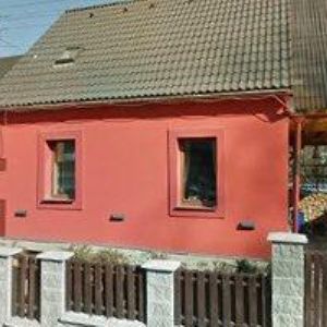 obrazek: avatar MACHOWSKÁ VLASTA