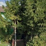 PALIČKA MIROSLAV MVDr.