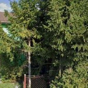 obrazek: avatar PALIČKA MIROSLAV MVDr.