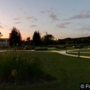 obrazek: avatar ZELENYPROSTOR.CZ