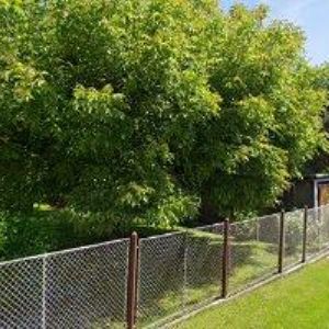 obrazek: avatar BLACHOVÁ LENKA