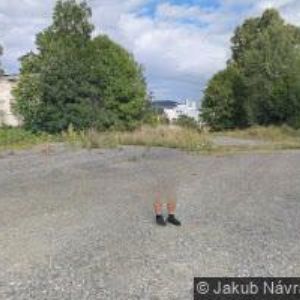 obrazek: avatar ZEMĚDĚLSKÝ PODNIK MĚSTO ALBRECHTICE, a.s.