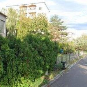 obrazek: avatar VETERINA HRUBÝ