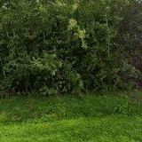 ČESKÝ KYNOLOGICKÝ SVAZ Nový Jičín