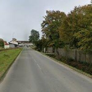 obrazek: avatar ČESKÝ KYNOLOGICKÝ SVAZ Suchdol nad Odrou
