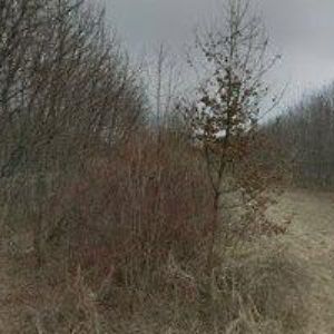 obrazek: avatar DRŮBEŽÁRNA PŘÍBOR-KLOKOČOV