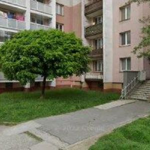 obrazek: avatar BÁLEK ALEŠ