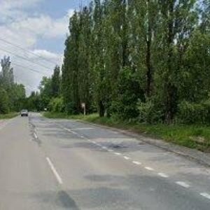 obrazek: avatar ČESKÝ KYNOLOGICKÝ SVAZ Dětmarovice II.