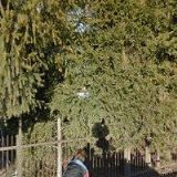 ČESKÝ KYNOLOGICKÝ SVAZ Jablunkov