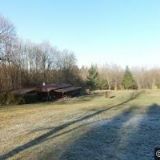 ČESKÝ KYNOLOGICKÝ SVAZ Otice