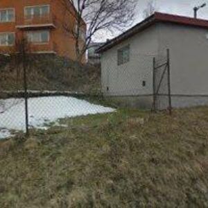 obrazek: avatar ČESKÝ KYNOLOGICKÝ SVAZ Vítkov