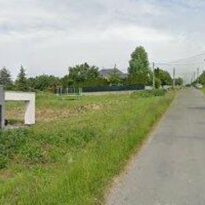 obrazek: avatar MITÁČ SAM-ARBORISTA