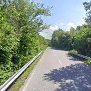 obrazek: avatar SANT TULIP