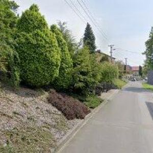 obrazek: avatar ZAHRADA KIVI s.r.o.