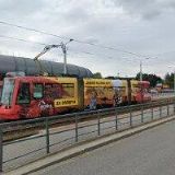 BERDÍK ŽIVÁ DOMÁCÍ ZAHRADA