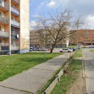 obrazek: avatar PREMUSOVÁ DANA MVDr.