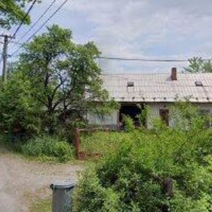 obrazek: avatar ARBOLANDIA s.r.o.