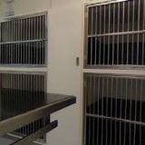 LALÍKOVÁ KVĚTOSLAVA