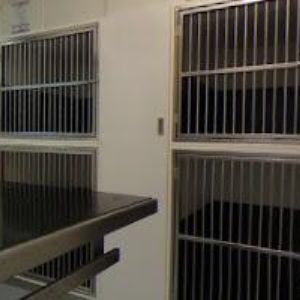 obrazek: avatar LALÍKOVÁ KVĚTOSLAVA